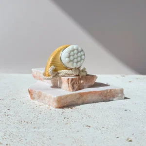 Brosse Nettoyante Visage